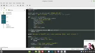 ChatGPT creates a python script to chat with ChatGPT in command prompt