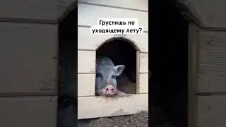 Оно уже почти, а ты все еще не #неуходи