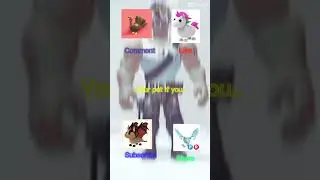 Your pet if you.. 