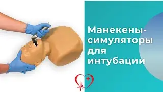 Обзор манекенов-тренажеров и манекенов-симуляторов для отработки навыков эндотрахеальной интубации