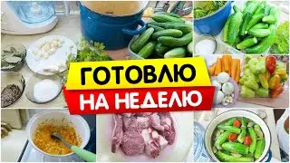 VLOG: Готовлю на НЕДЕЛЮ / Простые ЩИ / Малосольные огурцы / Vika Siberia LifeVlog