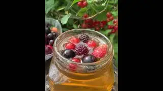 Ягода  с мёдом  -   вкусно  и полезно! Смородина с мёдом - сплошные витамины !