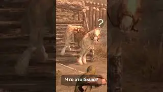 Что это было? Скайрим 