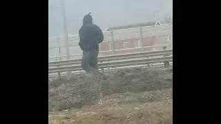 ДПС РОСТОВ ПОДСТАВА НА ТРАССЕ