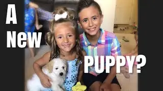 Are We Getting a New Puppy!? / Our Labor Day Weekend was AWESOME!