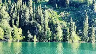 РЫБАЛКА В ГОРАХ , ЛОВЛЯ ОСМАНА