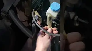 Контроцептивы блин 