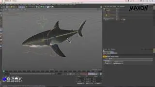 Webinar Character Animation In Cinema 4D