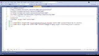 24.Learn WPF in small Steps:  Loading Dynamic UI and resources
