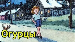 Огурцы