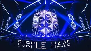 PURPLE HAZE ▼ TRANSMISSION SYDNEY 2019: The Awakening