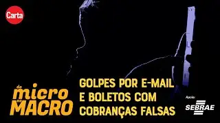 Golpes contra MEIs: quais são e como evitar | Do Micro ao Macro