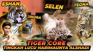 TIGER CORE ! ESHAN JINORA SELEN TEONA