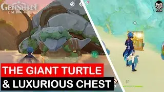 Giant Turtle Adventure: Unlock a Luxurious Chest | Genshin Impact Guide