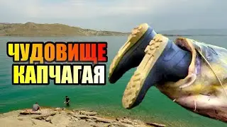 ЧУДОВИЩЕ ОЗЕРА КАПЧАГАЙ!!! Тайны Капчагая. #казахстан #рыбалка