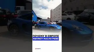 ПОЧЕМУ В ЕВРОПЕ МАСЛО МЕНЯЮТ В 3 РАЗА РЕЖЕ? #zimwerk #vagcenter #vagcars #заменамасла #автосервис