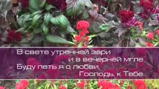 Я люблю Тебя Иисус