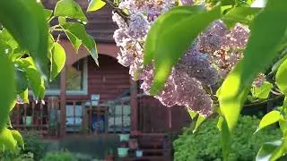 Most beautiful house, Village Walking Tour, Russia JUNE 18, 2023