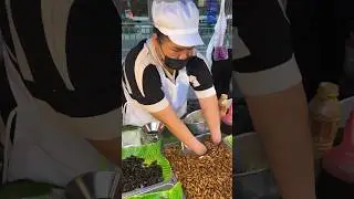 Hardworking Woman Sells Fried Insects At Night Market