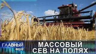 Где начинается продовольственная безопасность государства. Главный эфир