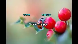 Сен сулу караоке ДосМукасан