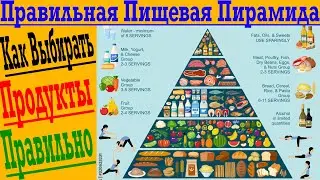 ПРАВИЛЬНАЯ ПИЩЕВАЯ ПИРАМИДА !