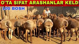 N-1 TOZZA ARASHAN QOCHQORLAR YEMGA TAYYORLARI 100 BOSH KELDI