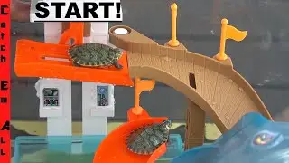 TURTLE ROLLER COASTER! **Safe for Turtles**