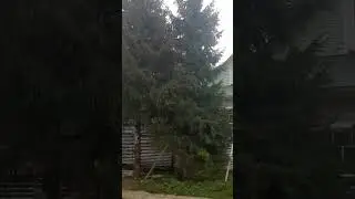 СТЕЛЕТСЯ ДОРОЖЕНЬКА ДАЛЬНЕЙ СТОРОНОЙ...🌿🌾🌷🌿🌾🌷🌿🌾🌷🌿🌾🌷🌿🌾🌷🌿🌾🌷🌿🌾🌷🌿🌾🌷🌿🌾🌷