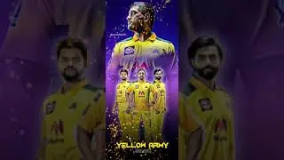 MSD #csk status yellow army #msd