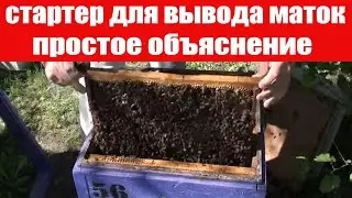 Стартер для вывода маток - пошаговая инструкция 2023