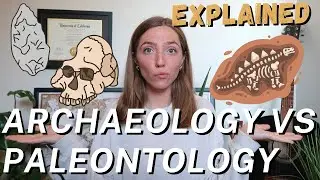 Archaeology vs Paleontology | What's The Difference? | UCLA Anthropology Graduate Explains