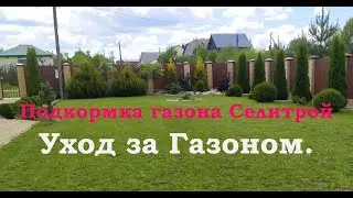 Мульчирование газона.Уход за газоном. Подкормка газона.Газон своими руками. Восстановления газона.