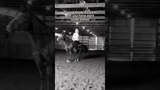 They Said To Do This Trend With Your Horse And It Totally Worked 