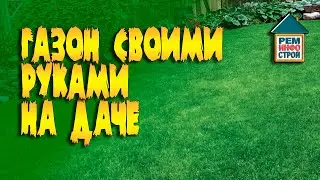 Газон на даче. Виды газонов для дачи . Разновидности газонов.