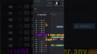 Delete EMPTY TRACKS in DaVinci Resolve
