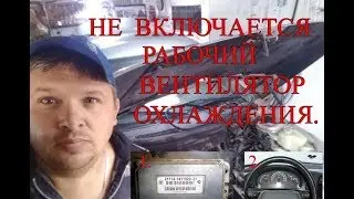 Не включается РАБОЧИЙ вентилятор охлаждения.