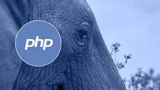 Starting up the local PHP development server