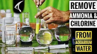 Best Way to Remove Chlorine & Ammonia From Aquarium Water