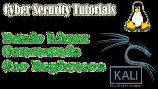 Basic Linux Commands for Beginners | Linux Commands Tutorial 2