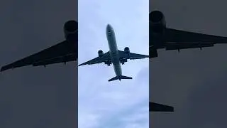 Kuwait Airways Boeing 777-369(ER)#shorts #airport #airlines