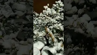 Just when you think it is spring.. it is time for winter to end!