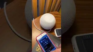 Чел с лицом Джокера оценивает колонку Apple HomePod mini