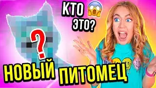 У НАС ПОЯВИЛСЯ НОВЫЙ ПИТОМЕЦ🤩👉 ВСЕ Собаки В ШОКЕ!