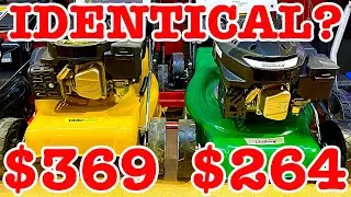 Bunnings Yard King V Cheetah Lawn Mowers $105 What's The Difference Challenge
