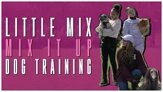 Little Mix - Mix It Up: Dog Training