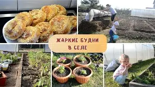 СЕЛЬСКАЯ ЖИЗНЬ. Василиса пошла / ВАТРУШКИ с повидлом / Теперь ЖАРА и НЕТ ВОДЫ