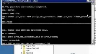 APEX 4 Install on Windows Server 2003 64 bit Tutorial - Video Training