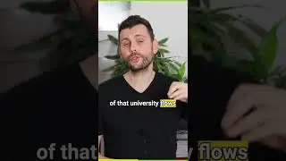 🌟 Advantages of Coursera Certifications 🧠