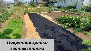 Покрываю грядку геотекстилем для посадки клубники